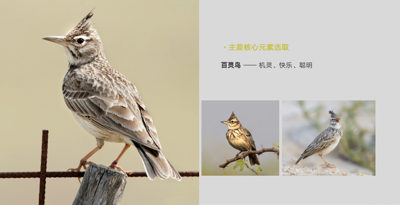 拖把品牌策劃設(shè)計(jì)-品牌命名-logo/vi設(shè)計(jì)-蘇州木鳥家居 拖把品牌策劃設(shè)計(jì)-品牌命名-logo/vi設(shè)計(jì)-蘇州木鳥家居